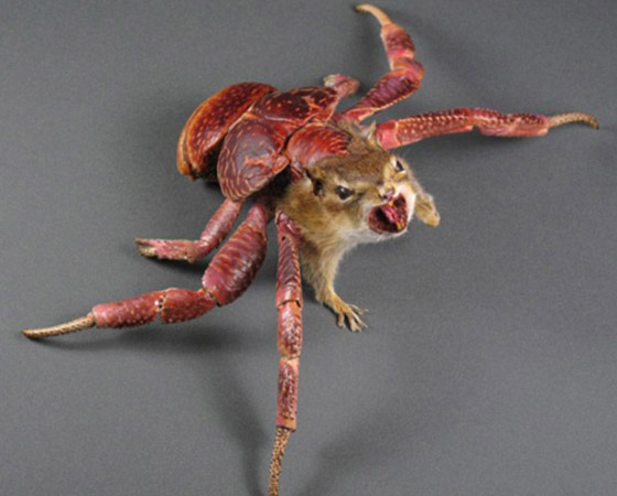  صورة رقم 2 - فنان يصنع مخلوقات غريبة من أعضاء حيوانات محنطة!  